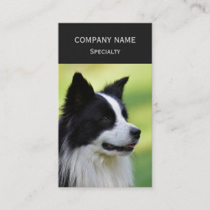 Schwarz-weißer Border Collie Hund Visitenkarte