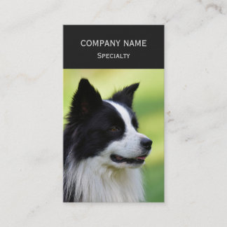 Schwarz-weißer Border Collie Hund Visitenkarte
