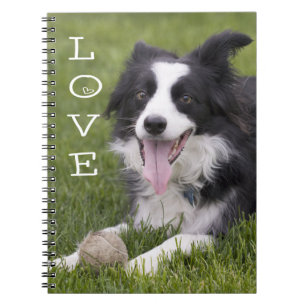 Schwarz-weißer Border Collie Liebes-Welpen-Hund-Jo Notizblock