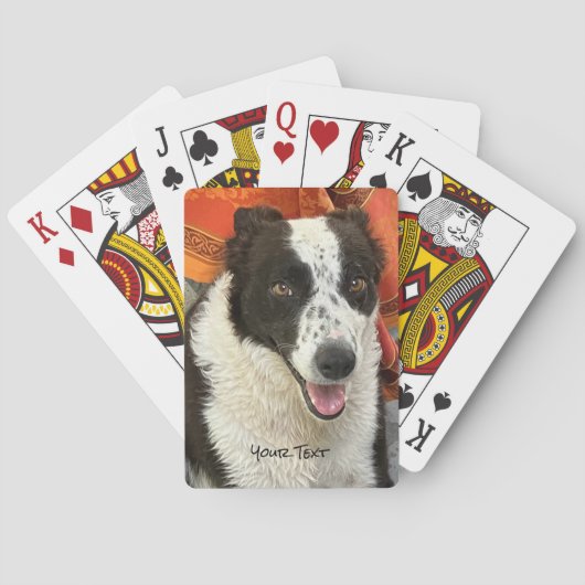 Schwarz-weißer Border Collie Spielkarten (Rückseite)