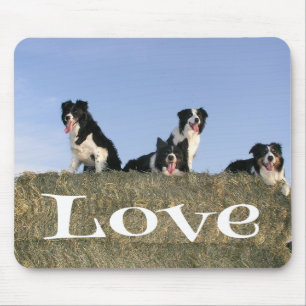 Schwarz-weißer Border Collie Welpe Hund Mauspad
