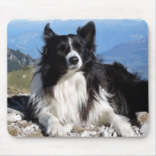 Schwarz-weißer Border Collie Welpe Hundemauspad Mousepad