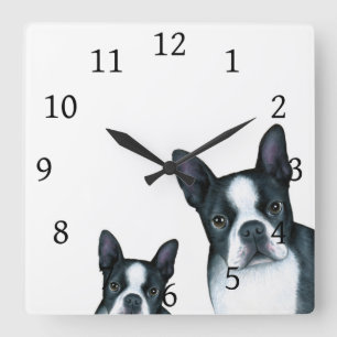 Schwarz-weißer Boston-Terrier des Hund128 Quadratische Wanduhr
