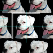 Schwarz-weißer Boxhund mit Baumwollgewebe Stoff (Kachel)