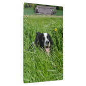 Schwarz-weißer Collie im Gras Klemmbrett (Rechts)