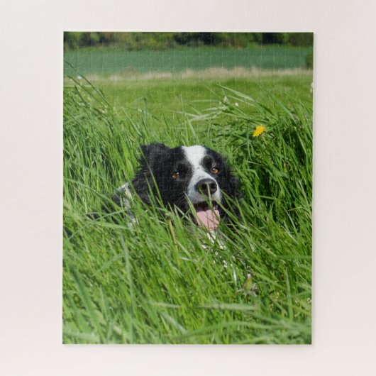 Schwarz-weißer Collie im Gras Puzzle (Vertikal)