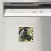 Schwarz-weißer Colobusaffe Magnet (In Situ (Geschirrspüler))