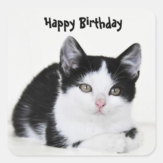 Schwarz-weißer, durchdachte Kittenpfropf Quadratischer Aufkleber (Vorderseite)