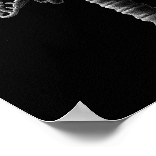 Schwarz-weißer Gothic Skulls Horror Tree Poster (Ecke)