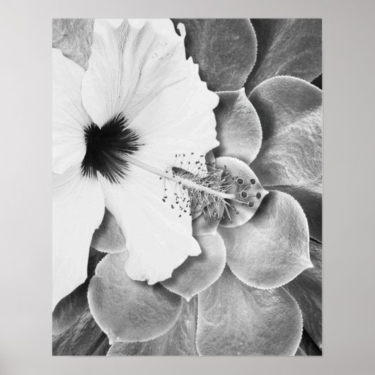 Schwarz-weißer Hibiskus Poster (Vorne)