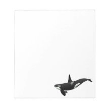 Schwarz-weißer Orca-Schlachterwal