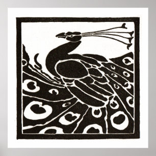 SCHWARZ-WEIßER PFau Poster