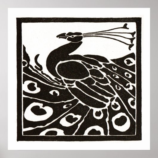 SCHWARZ-WEIßER PFau Poster (Vorne)