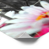 Schwarz-weißer Rosa Blumengarten Monochrom Poster (Ecke)