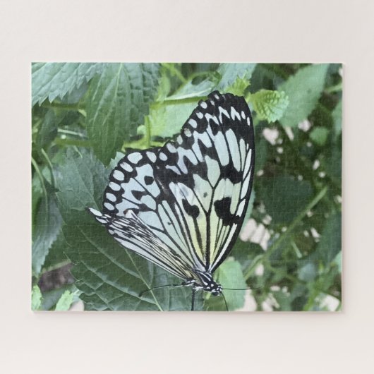 Schwarz-weißer Schmetterling Puzzle (Horizontal)