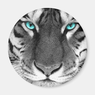 Schwarz-weißer Tiger Magnet