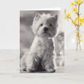 Schwarz-weißer Westie Karte (Gelbe Blume)