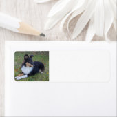 Schwarz-weißes Bräunen in voller Länge (Insitu)