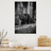 Schwarz-weißes Foto Bären Moderne Rustikale Kabine Poster (Küche)