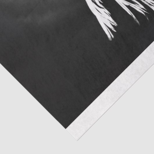 Schwarz-weißes Foto der Tanzdecoupage Seidenpapier (Ausschnitt)