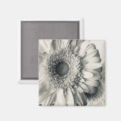 Schwarz-weißes Foto für die Blume Magnet (Vorderseite/Rückseite)