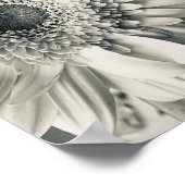Schwarz-weißes Foto für die Blume Poster (Ecke)