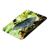 Schwarz-weißes Frack Butterfly Foto Magnete (Linke Seite)