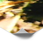 Schwarz-weißes Frack Butterfly Foto Poster (Ecke)