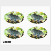 Schwarz-weißes Frack Butterfly Foto Stickers (Blatt)