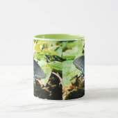 Schwarz-weißes Frack Butterfly Foto Tasse (Zentrum)