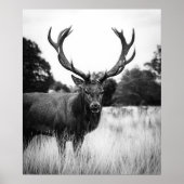 Schwarz-weißes Hirschhaus Dekorwald Poster (Vorne)