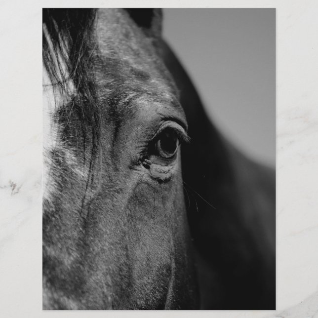 Schwarz-weißes Horseaugenkunstwerk (Vorderseite)