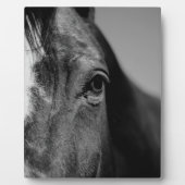 Schwarz-weißes Horseaugenkunstwerk Fotoplatte (Vorderseite)