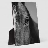 Schwarz-weißes Horseaugenkunstwerk Fotoplatte (Seite)