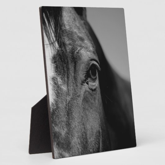 Schwarz-weißes Horseaugenkunstwerk Fotoplatte (Seite)