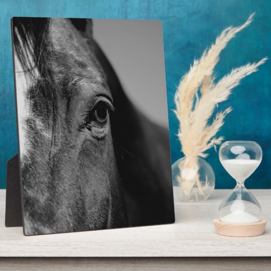 Schwarz-weißes Horseaugenkunstwerk Fotoplatte (Seite)