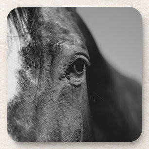 Schwarz-weißes Horseaugenkunstwerk Getränkeuntersetzer