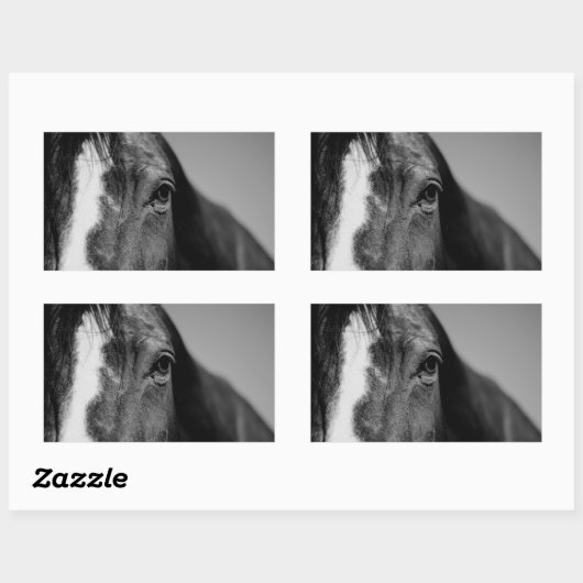 Schwarz-weißes Horseaugenkunstwerk Rechteckiger Aufkleber (Blatt)