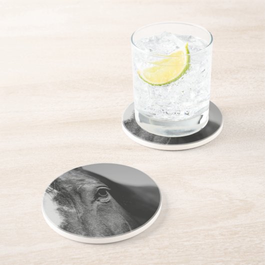 Schwarz-weißes Horseaugenkunstwerk Sandstein Untersetzer (Seite)