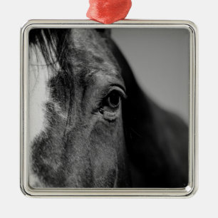 Schwarz-weißes Horseaugenkunstwerk Silbernes Ornament