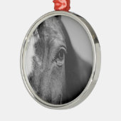 Schwarz-weißes Horseaugenkunstwerk Silbernes Ornament (Links)
