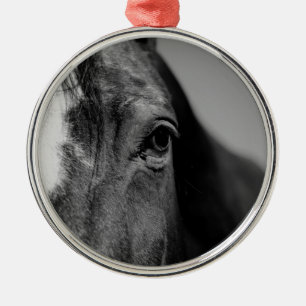 Schwarz-weißes Horseaugenkunstwerk Silbernes Ornament