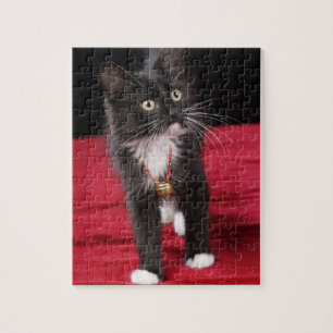 Schwarz-weißes Kurzhaarkätzchen, 2 1/2 Monate Puzzle