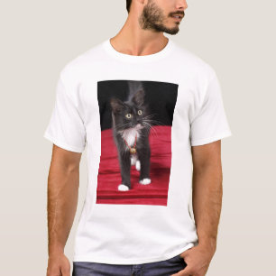 Schwarz-weißes Kurzhaarkätzchen, 2 1/2 Monate T-Shirt