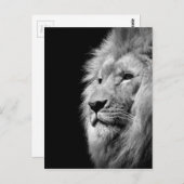 Schwarz-weißes Löwenportrait - Tierfotografie Postkarte (Vorne/Hinten)