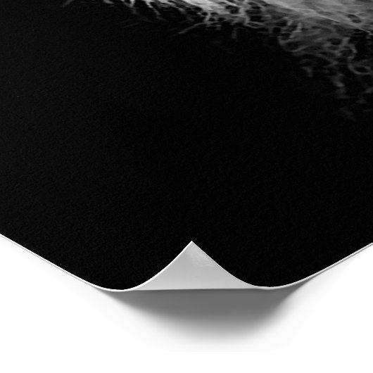 Schwarz-weißes Löwenposter - Tierfotografie Poster (Ecke)