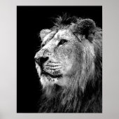 Schwarz-weißes Löwenposter - Tierfotografie Poster (Vorne)