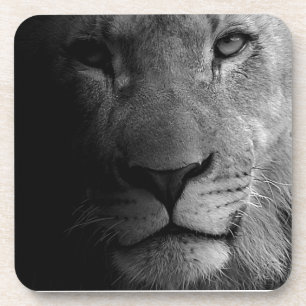 Schwarz-weißes Motivierend Leadership Lion Portrai Getränkeuntersetzer