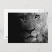 Schwarz-weißes Motivierend Leadership Lion Portrai Postkarte (Vorne/Hinten)