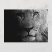 Schwarz-weißes Motivierend Leadership Lion Portrai Postkarte (Vorderseite)